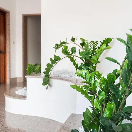 Casa Da Ida Bed & Breakfast